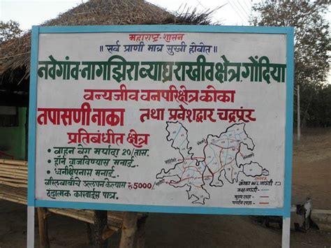 Koka Wildlife Sanctuary (Bhandara) - 2020 What to Know Before You Go ...