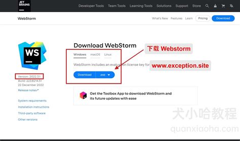 Webstorm 2023.1 最新激活码,破解安装教程(亲测好用) - 异常教程