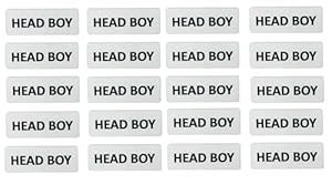 MOREL Class Head BOY Badge in White Acrylic PINBACK USE for School ...