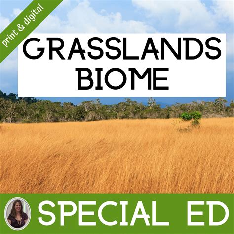 Grassland Biome