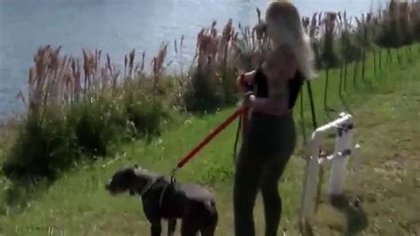 Image result for Giant Python Snake