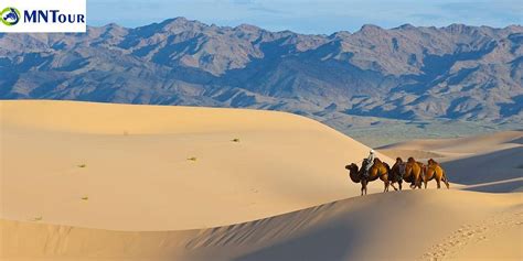 MN TOUR AGENCY (2025) All You Need to Know BEFORE You Go (with Photos ...