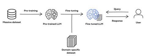 Image result for Fine-Tuning Tutorial