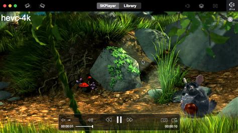 HEVC Codec for Mac 的图像结果