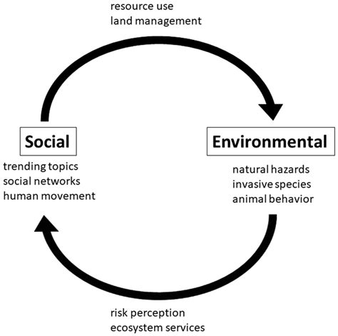 Challenges and Opportunities of Social Media Data for Socio ...