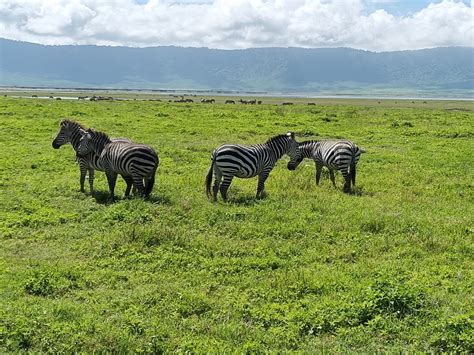 HARTKLOP AFRICA (2026) All You Need to Know BEFORE You Go (with Photos ...