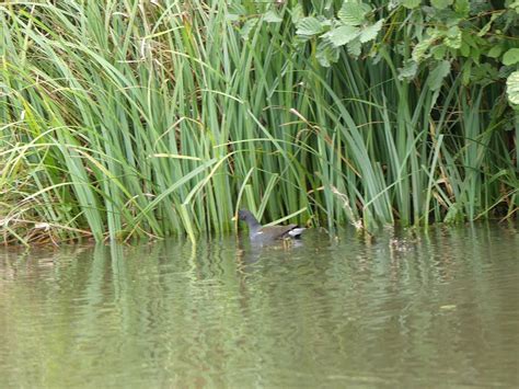 NORTH WALSHAM & DILHAM CANAL BOAT TOURS (2025) All You Need to Know ...