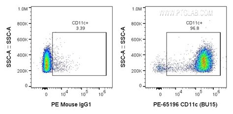 CD11c antibody (PE-65196) | Proteintech