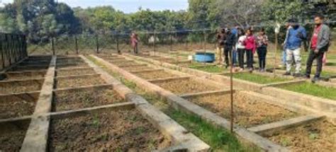 Nematodes Sick Micro-plot | Chandrashekhar Azad University of ...
