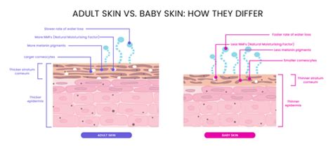 Baby Skin vs. Adult Skin: What's the Difference? – edababycare
