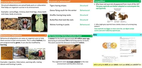 Adaptations KS3 的图像结果