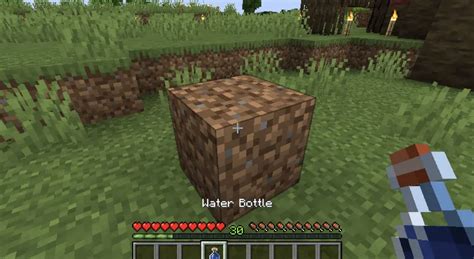 Image result for Mud Farm Minecraft Java