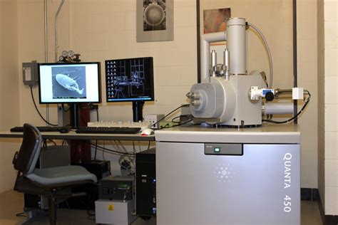 FEI SEM - Center for Microscopy and Imaging