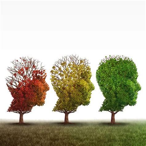 Neuro Linguistic Programming | Matrrix