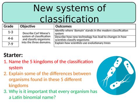 Image result for Classification Systems GCSE
