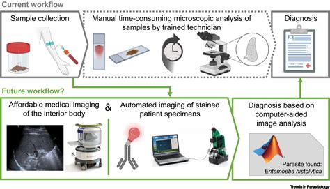 Imaging as a (pre)clinical tool in parasitology: Trends in Parasitology