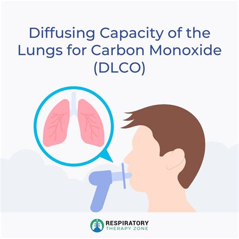 Image result for Pulmonary Diffusing Capacity