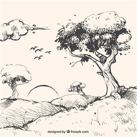 Bos Tekening Afbeeldingen - Gratis downloaden op Freepik