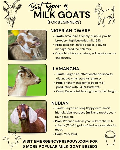 Best Types Of Milk Goats (For Beginners) | Raising farm animals ...