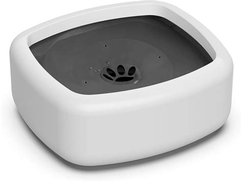 Dog Water Bowl Portable at Lynda Jones blog
