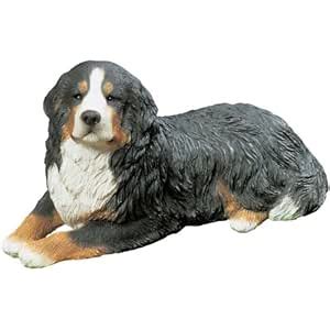Buy Sandicast Mid Size Bernese Mountain Dog Sculpture, Lying Online at ...