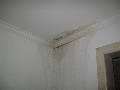 楼上漏水墙体湿了多长时间会干