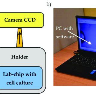 Image result for How to Program Cell Chip
