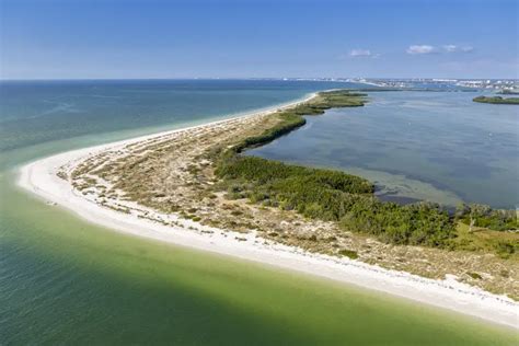 Image result for Shell Key Preserve