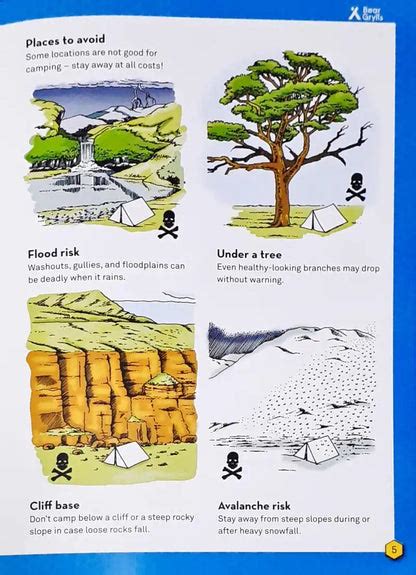 Bear Grylls Survival Skills Handbook Camping – Books and You