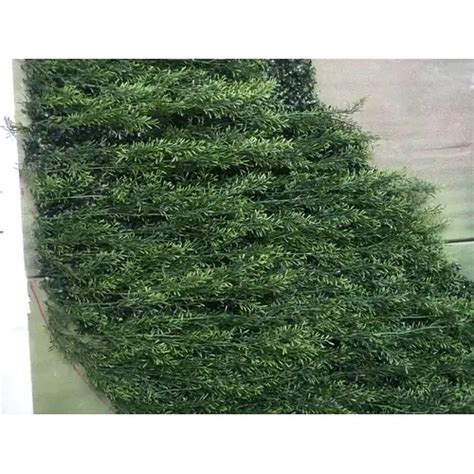 Artificial Green Wall Manufacturers in Punjab