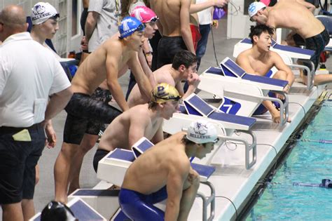 Swim and Dive Team 的图像结果