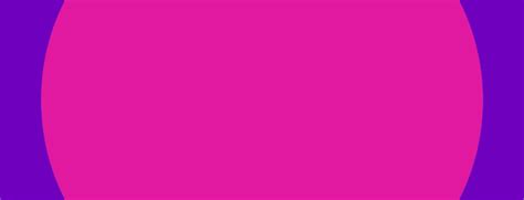 Career Services - Interview Preparation Guide