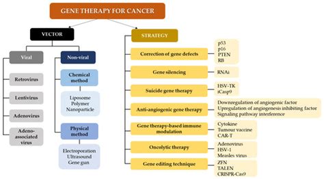Gene Therapy Targeting p53 and KRAS for Colorectal Cancer Treatment: A ...
