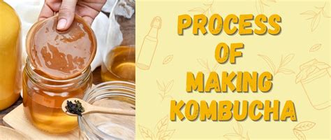 Unlocking the Art of How Kombucha is Made – Grabenord