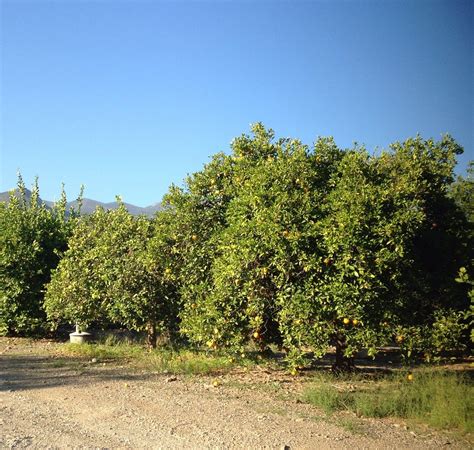 CASA OJAI INN - Hotel Reviews, Photos, Rate Comparison - Tripadvisor