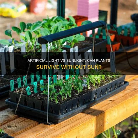 Artificial Light Vs Sunlight: Can Plants Survive Without Sun? | ShunCy