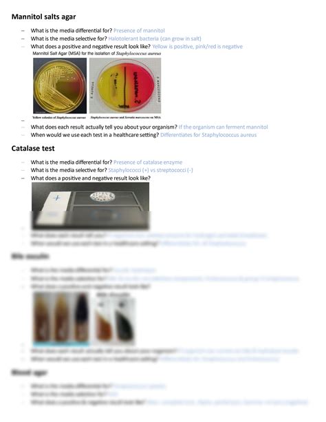 Microbiology Lab Practical Questions 的图像结果