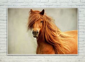 Posterskart Beautiful Brown Horse Wall Poster Paper Print - Animals ...