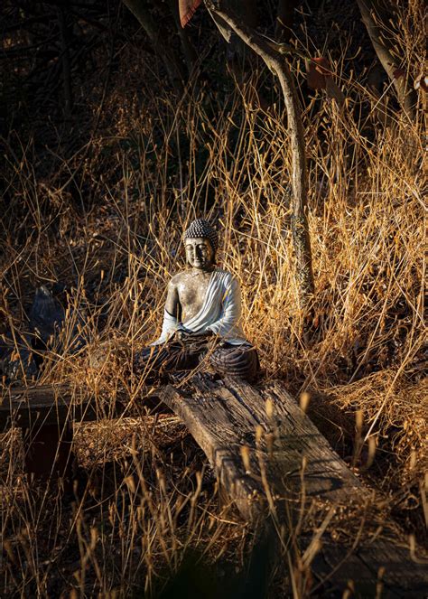 Religion Background 的图像结果