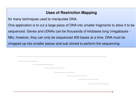 Restriction Map Explained 的图像结果