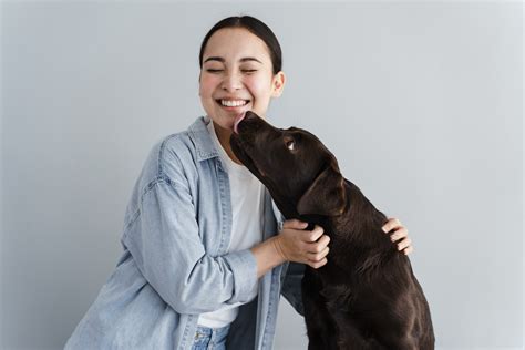 Why Does A Dog Lick You On The Face at Matthew Brunskill blog