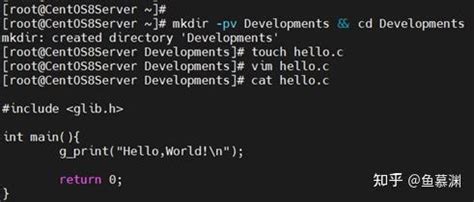 Image result for Libcli11