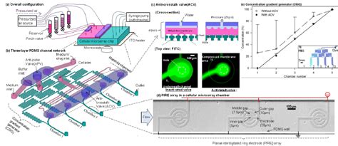 Image result for Cellular Microarray
