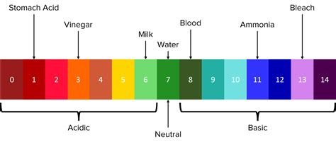 PH Scale Explained 的图像结果