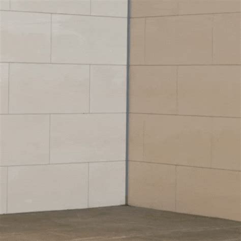 Rat Repellent Spray – Safe, Effective, and Eco-friendly. – Mitex