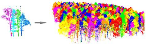 Classification of Individual Tree Species Using UAV LiDAR Based on ...