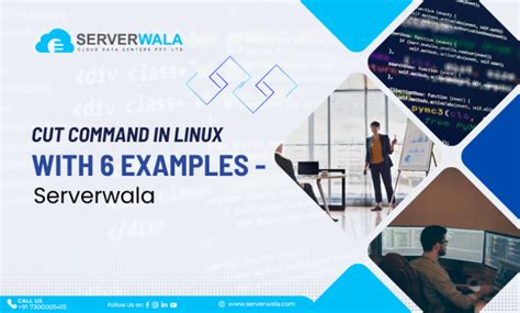 Image result for Cut Command in Linux Shell Script with Examples