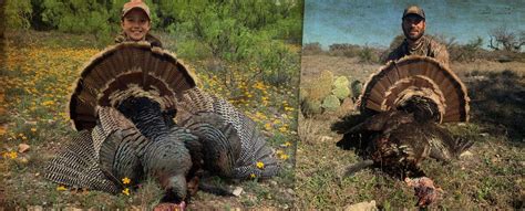 Ranch Rust Map 的图像结果