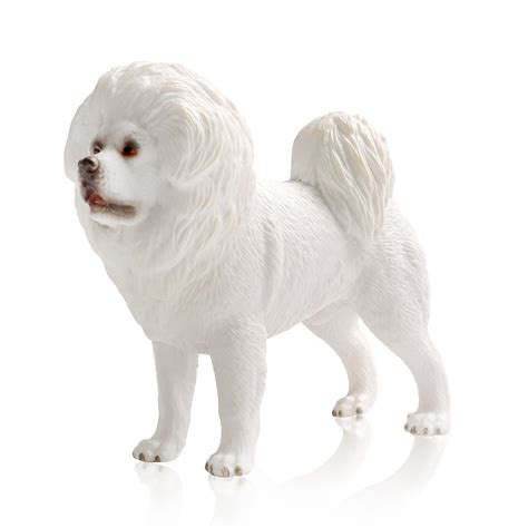 White Tibetan Mastiff