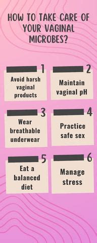 Role of Probiotics in Enhancing Fertility Outcome and Pregnancy ...